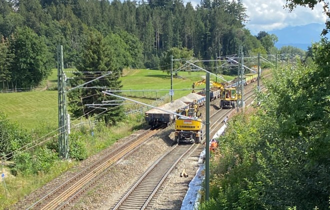 BBW Hergatz Lindau 7